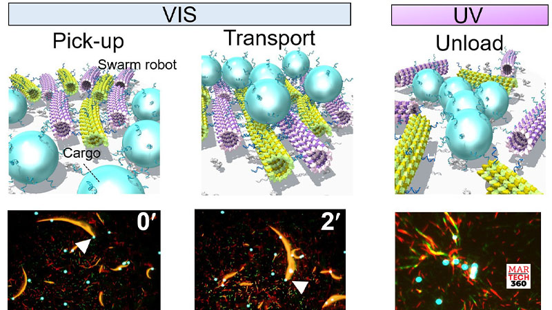 Molecular robots work cooperatively in swarms logo/martech360